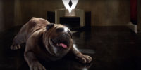'The Inhumans' Trailer Shows Marvel Can Do Worse Than 'Iron Fist'